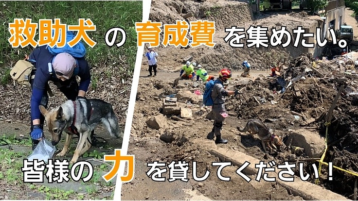 救助犬の安定した育成費を集めたい。