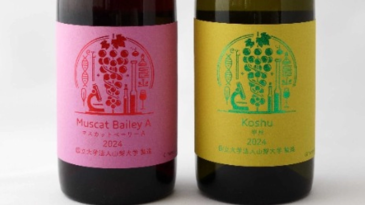 「シン・山梨大学ワイン」2024ヴィンテージ、いよいよ販売開始！