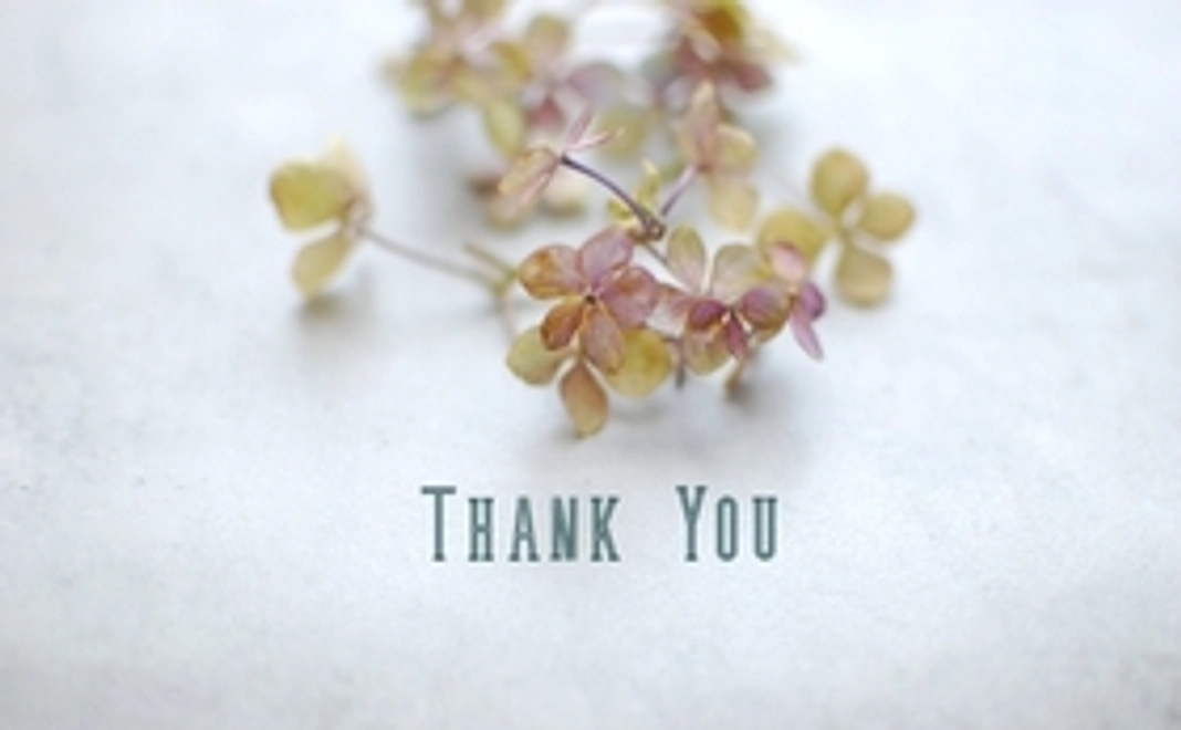 純粋応援5,000円