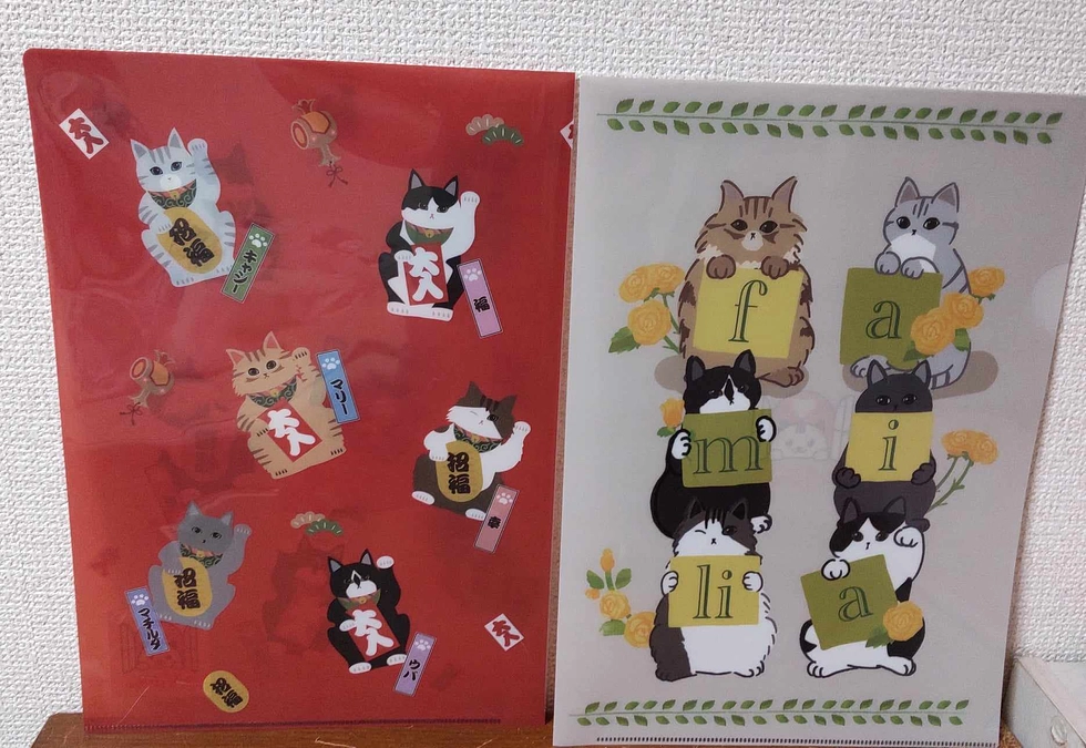 竹野農園の美味しいコース・クリアファイルの発送準備が出来ました！