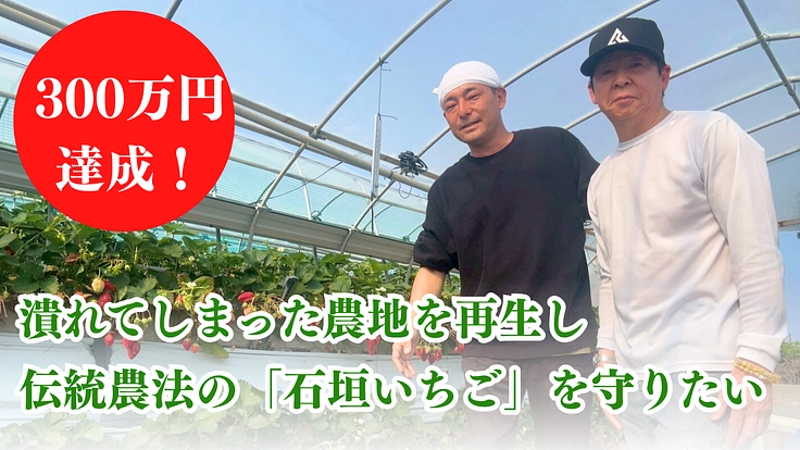 耕作放棄地の早期解消で伝統農法久能石垣イチゴ栽培を次世代へ繋ぎたい