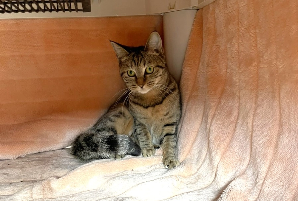 卒業生・在校生のご紹介