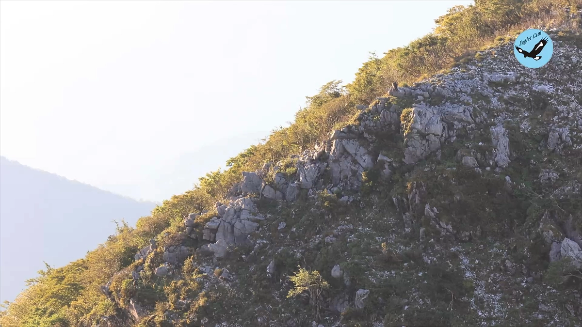 野生のいぶき2023年9月16日