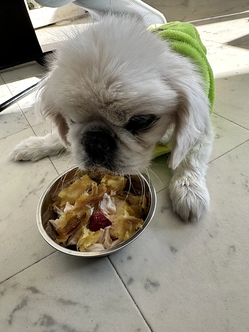 2024年12月活動費