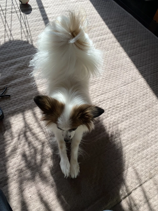 ☀️残り18日 達成率35%となりました☀️