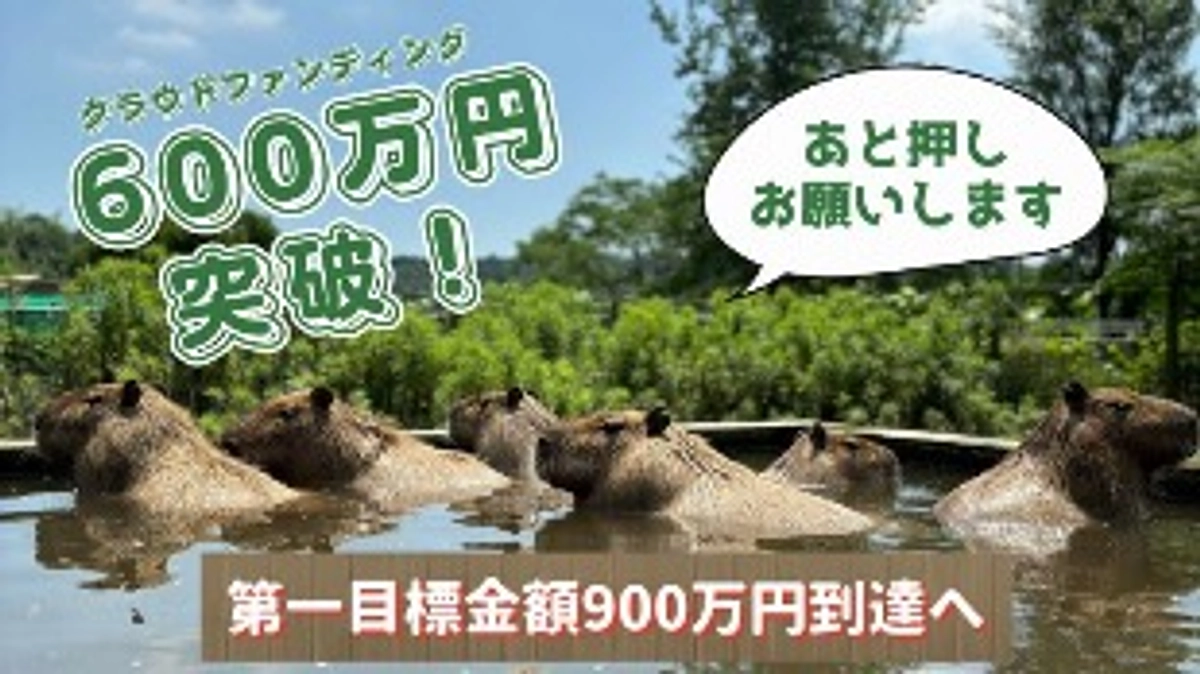 600万円達成！！クラファン応援コメントのご紹介④