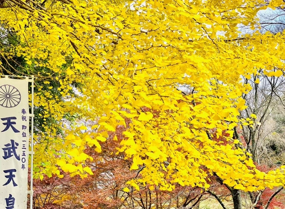 第一目標達成の心からの御礼と、ネクストゴール挑戦について