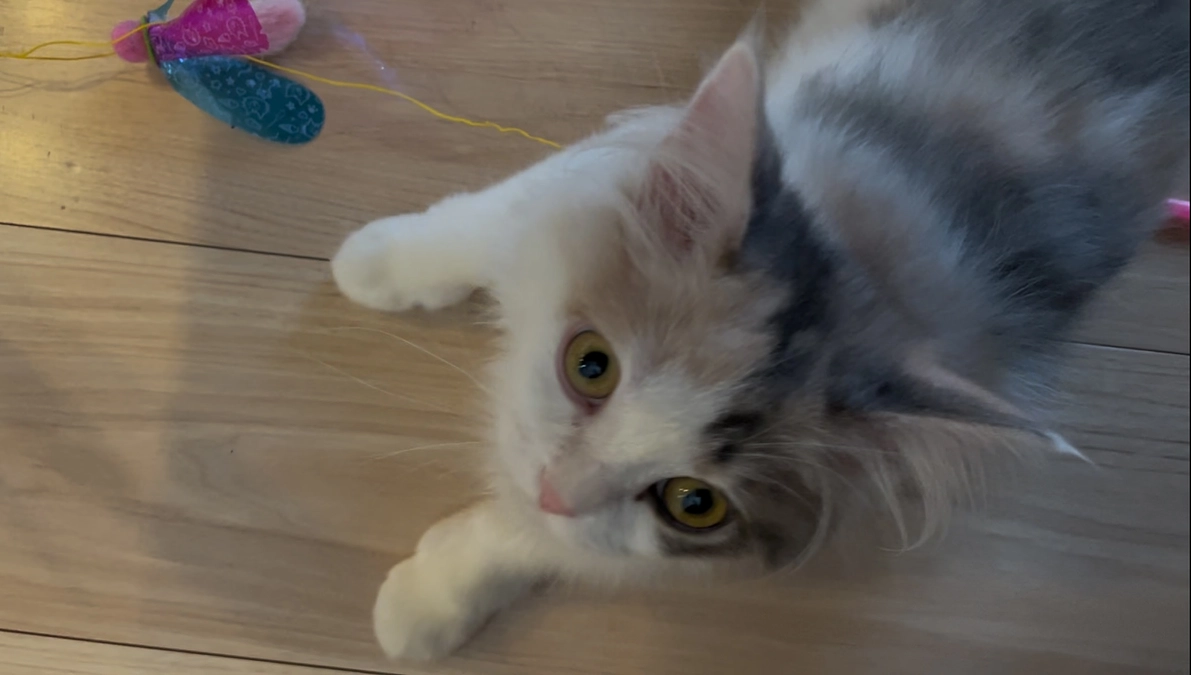 残り１９日です😰🆘