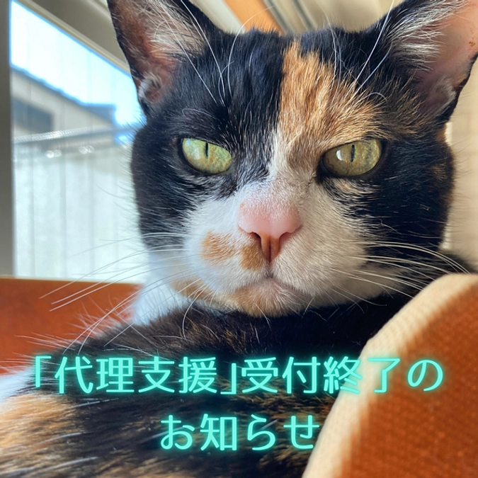 ■活動報告_31：「代理支援」の締切と受領済ご支援額のご報告