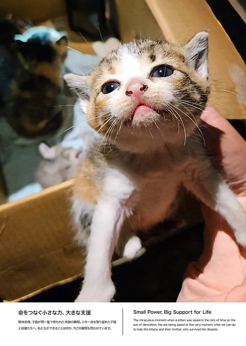 【緊急拡散希望】被災地能登で絶対に必要な事