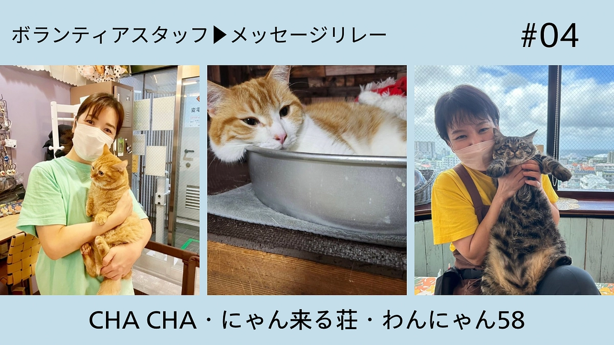 ボランティアスタッフメッセージリレー【にゃん来る荘・CHACHA・わんにゃん58】