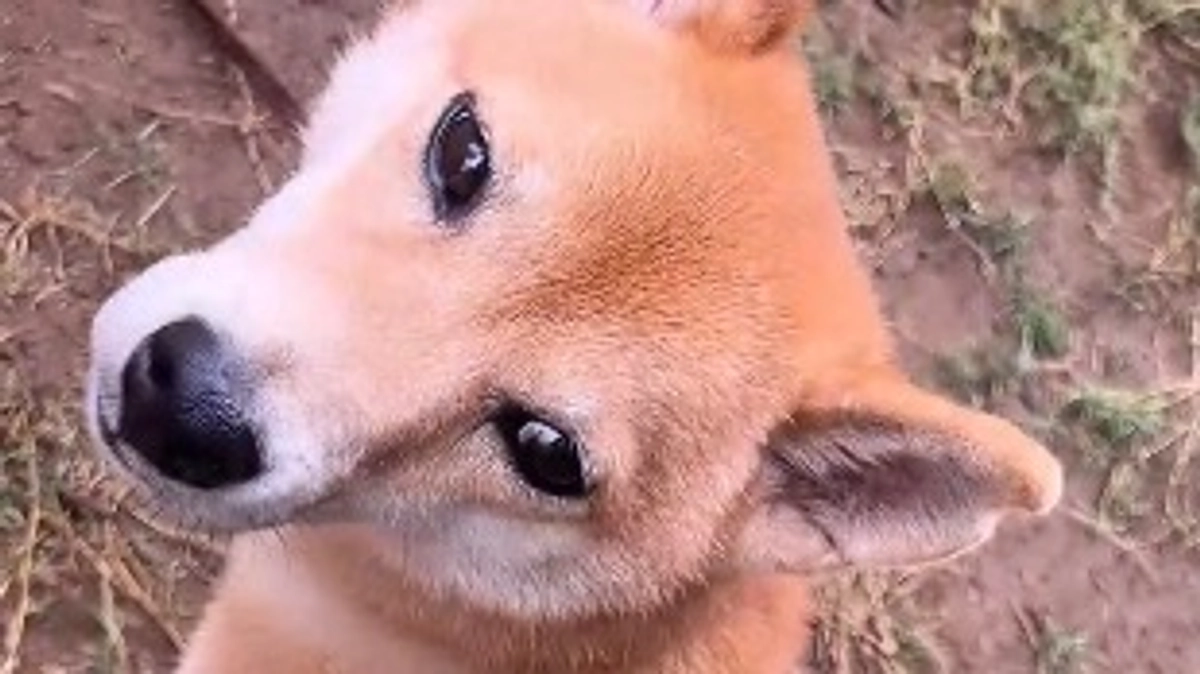 人間が1番怖い。