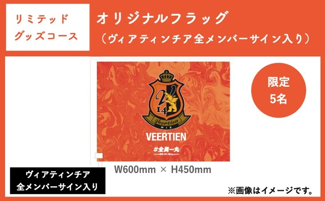【リミテッドグッズコース】オリジナルフラッグ(ヴィアティンチアの全メンバーサイン入り)
