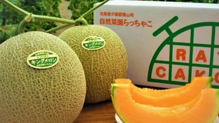 『最高のメロン』を『最高の子どもたち』へ届けたい！