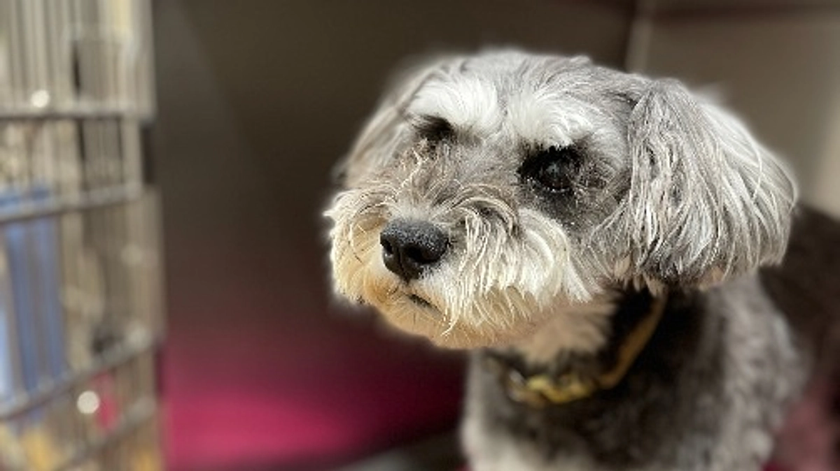 2回目手術も無事に終わりました！😭