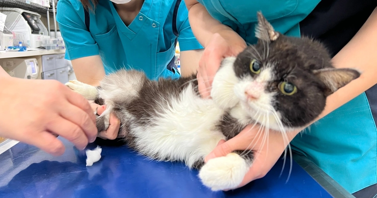 クラウドファンディング残り5日です！！！