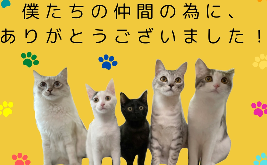 お礼のメッセージ(メールアドレス入力不要)