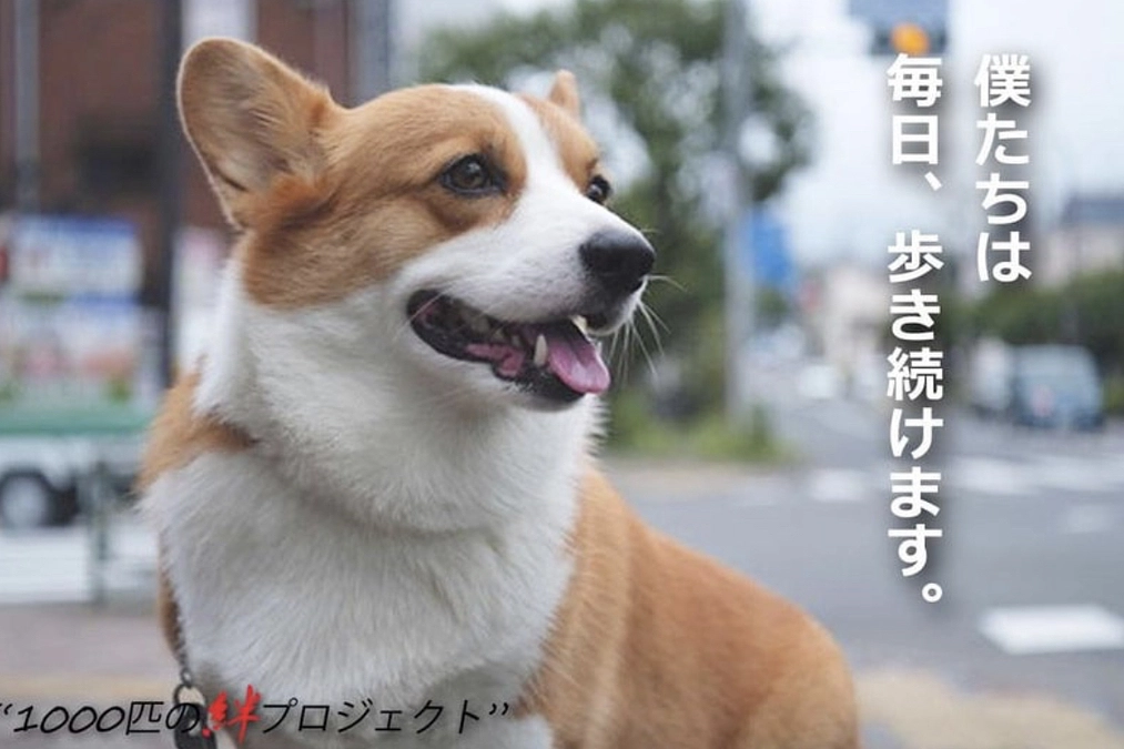 東京電力原発事故があったとしても