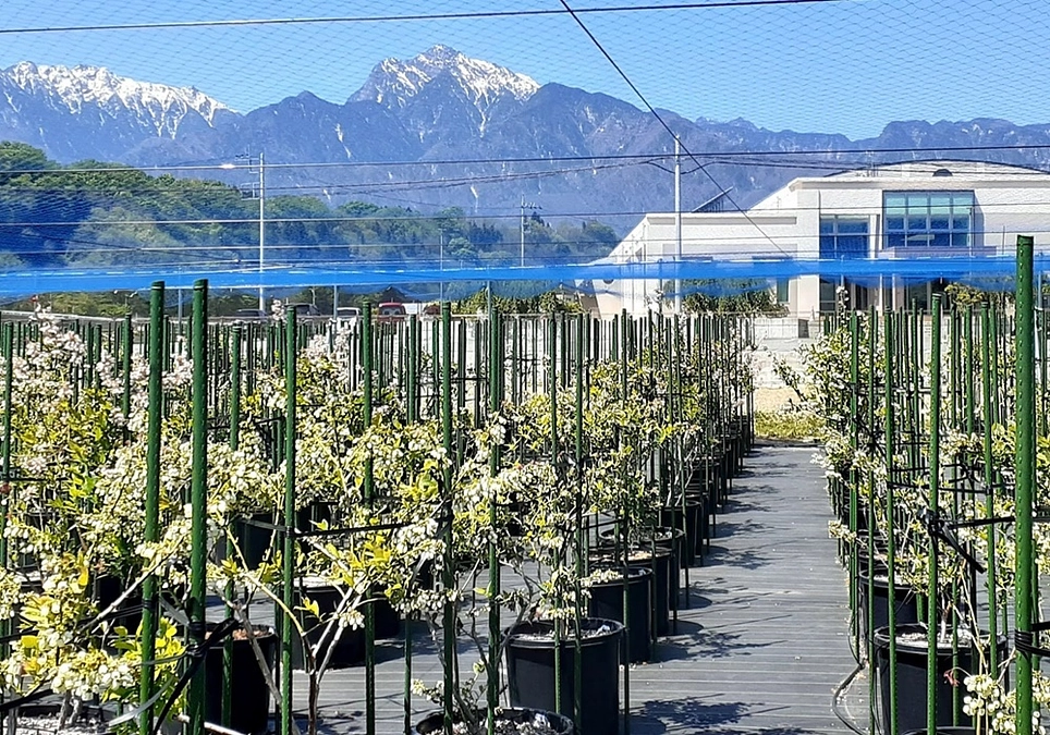 農園の物語(当園サイトに掲載中)