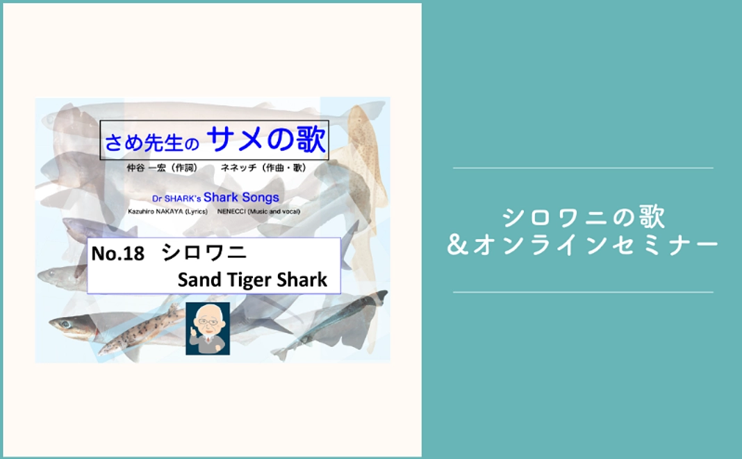 1万円｜あなたも「サメ博士の卵」に！仲谷一宏先生によるオンラインセミナーに参加！
