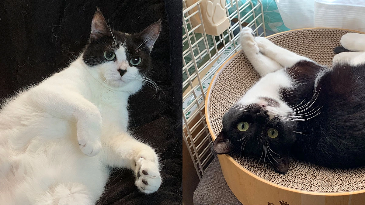 里親様からいただいたお写真とメッセージをご紹介します！（最終回）