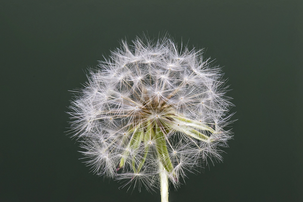 ご支援いただいた皆様、ありがとうございした！