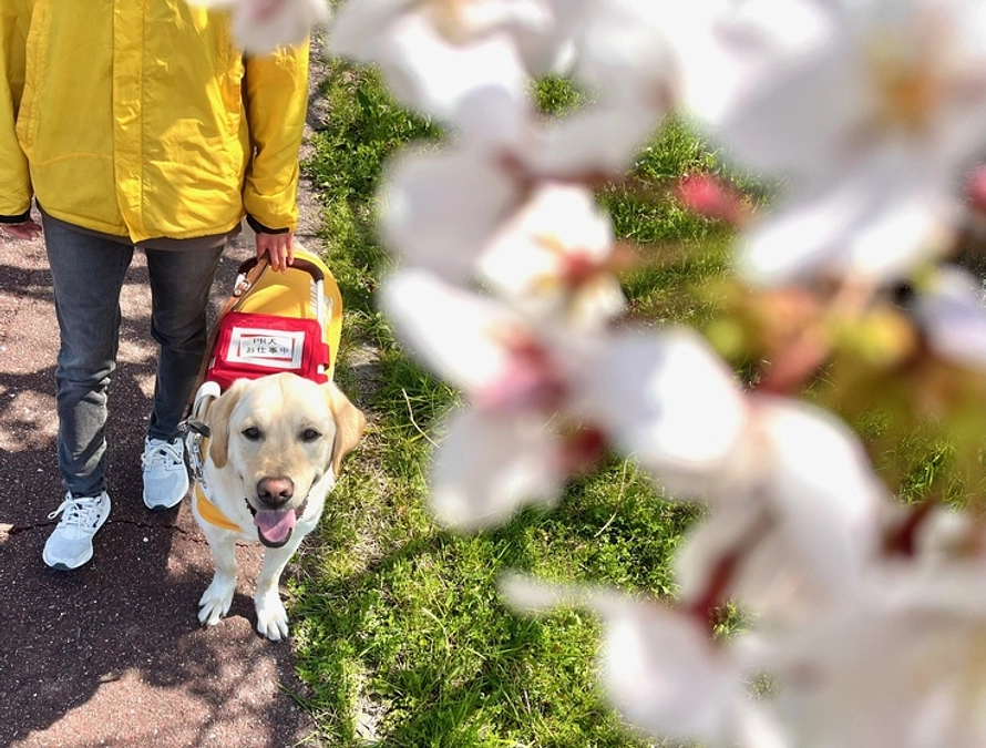 あたたかい応援メッセージのご紹介　その2