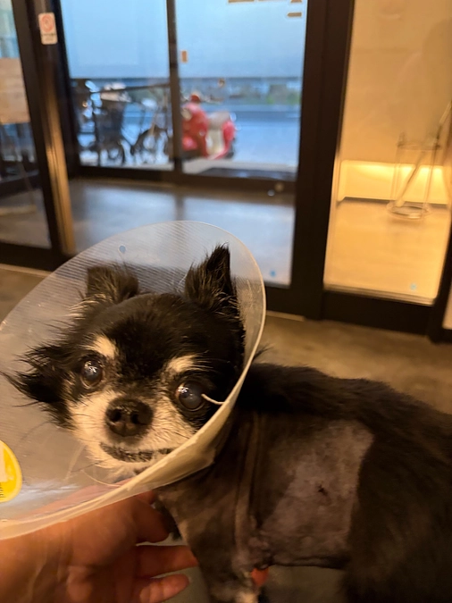 術後6日目の面会