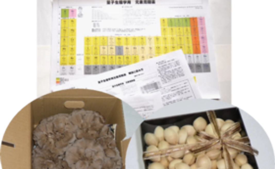 【野菜で幸せな気持ちに！】天国の野菜２種類をお届けします！