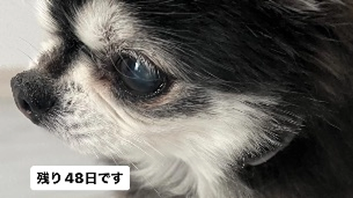 どうすれば良いかわからない