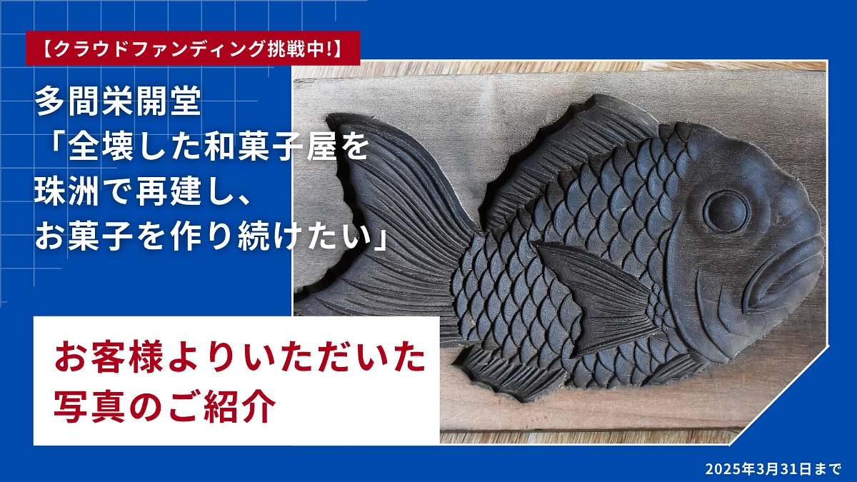 お客様よりいただいた写真のご紹介