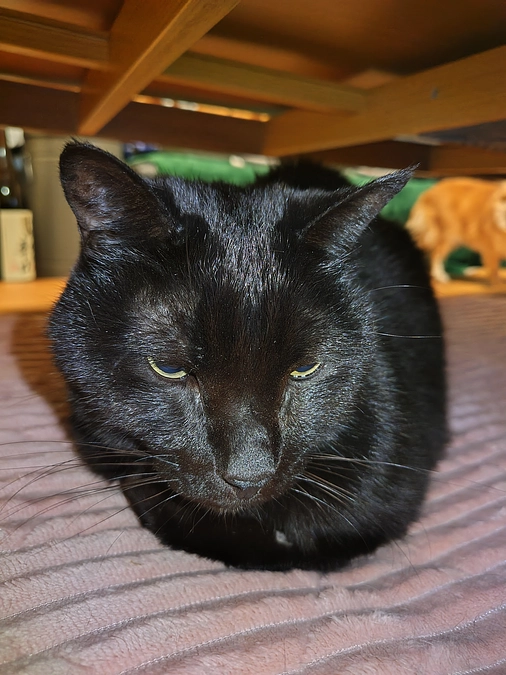 ご支援頂きました、皆様方