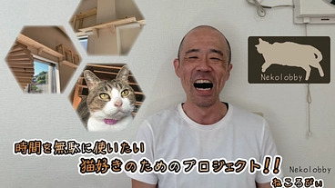 時間を無駄に使いたい猫好きのためのプロジェクト！ネコロビ〜 のトップ画像