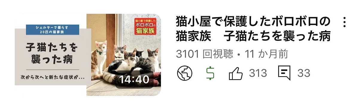 ようやく猫風邪終結に近づいてきました