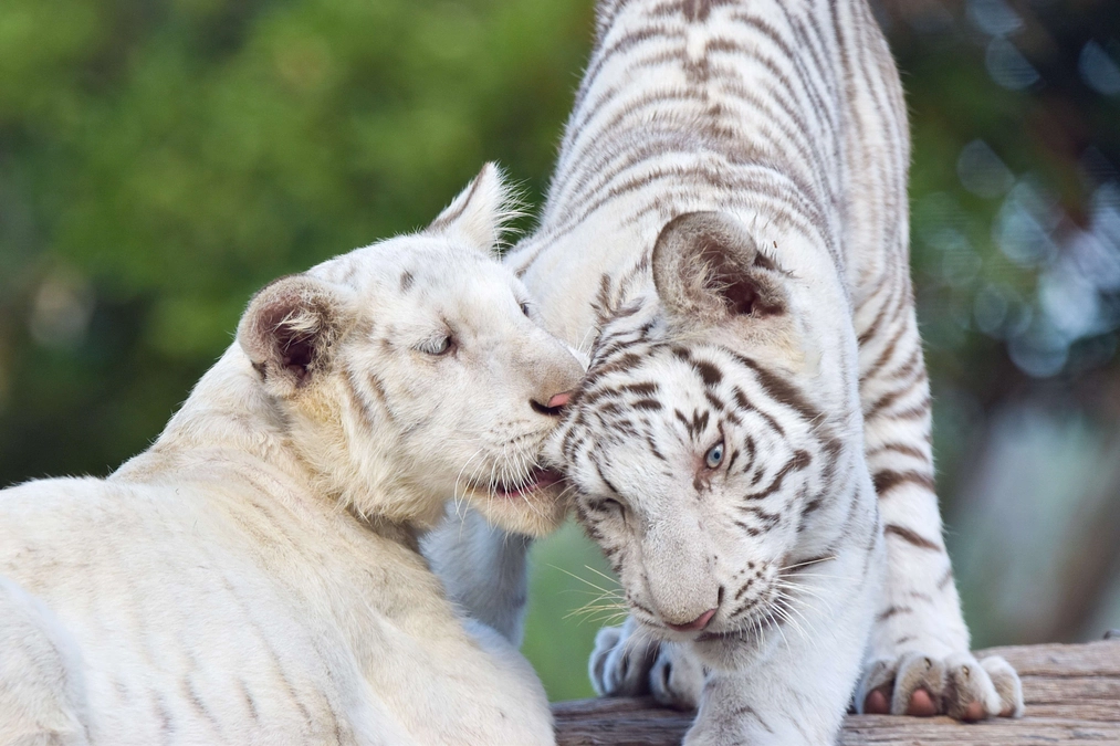 1月8日(月祝) 進捗報告〜返礼品制作の舞台裏〜