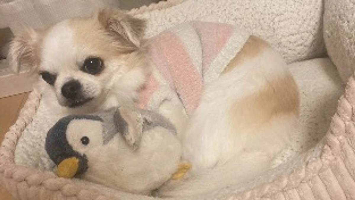 寒い1日でしたね