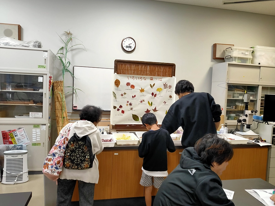 びわ博フェス2024を開催します！