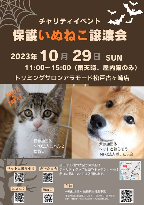 保護いぬねこに会いに行ってみよう 保護犬猫たちにより広く快適な