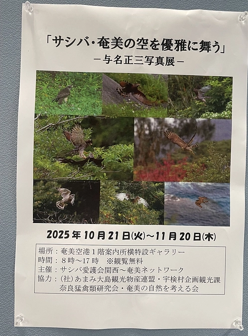 【野鳥写真家・与名正三さん写真展開催のお知らせ】
