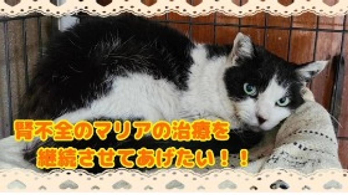 本当にありがとうございました🙇