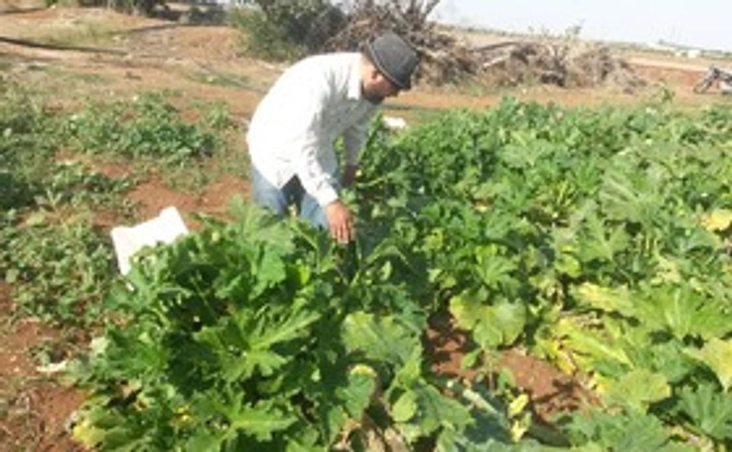 10,000円寄付コース