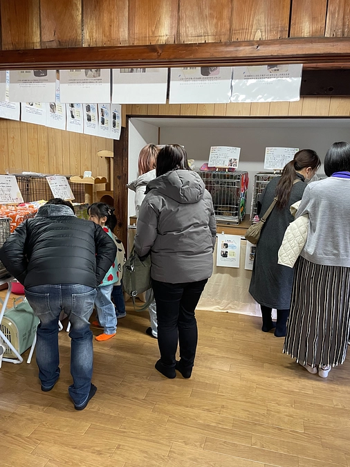 猫まち長屋にめ初譲渡会でしたー🐈‍⬛