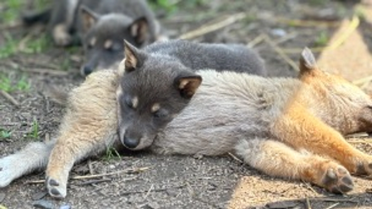 残り3日となりました！！