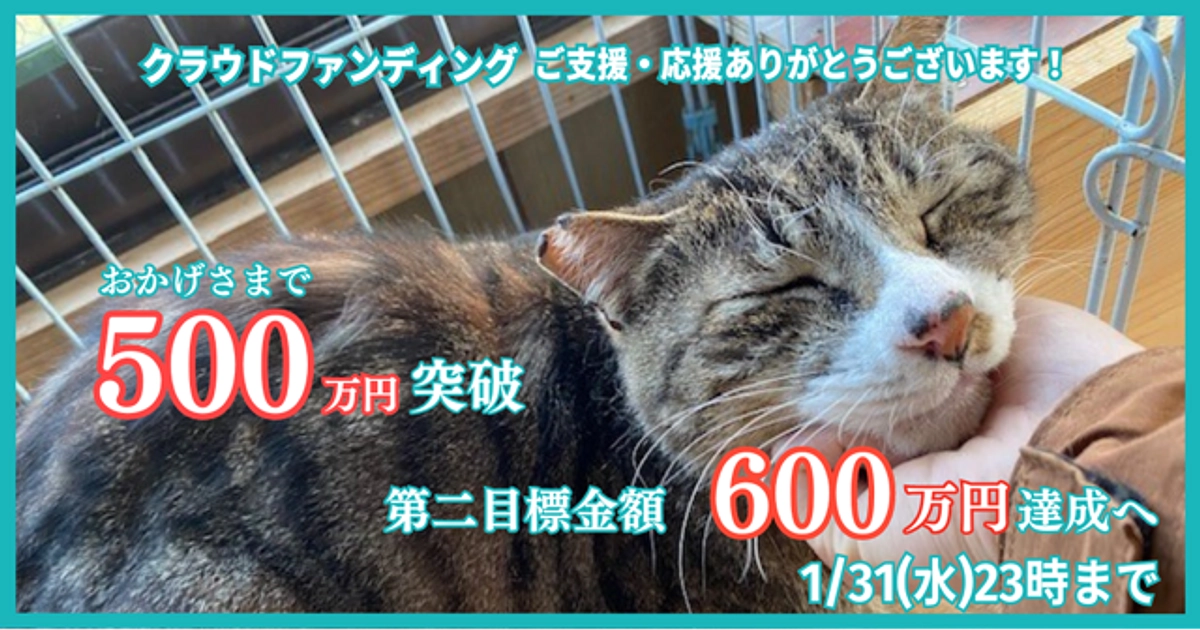 【感謝】500万円達成しました！