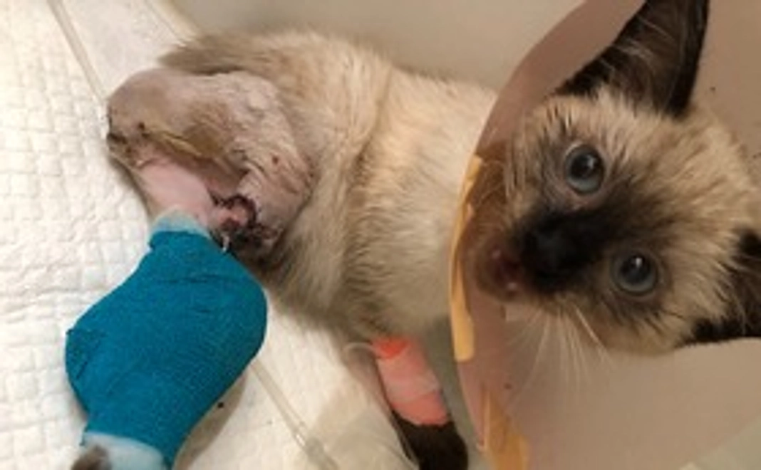 ご支援よろしくお願いします1