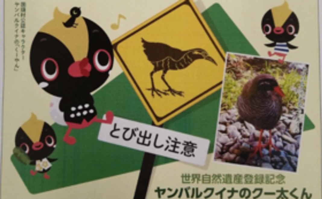 限定グッズコース：1万円