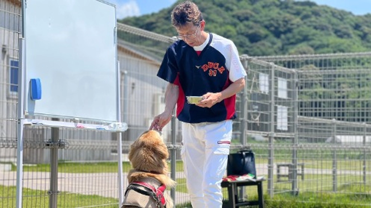 【850万まであと6万！】ペット保険最大手のアニコムの動物保護施設を監修しています！