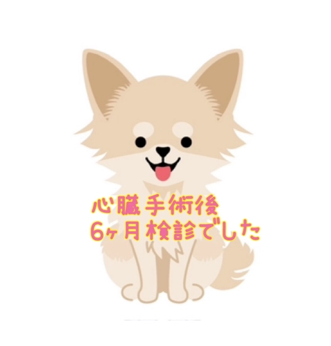 心臓手術後 6ヶ月検診でした