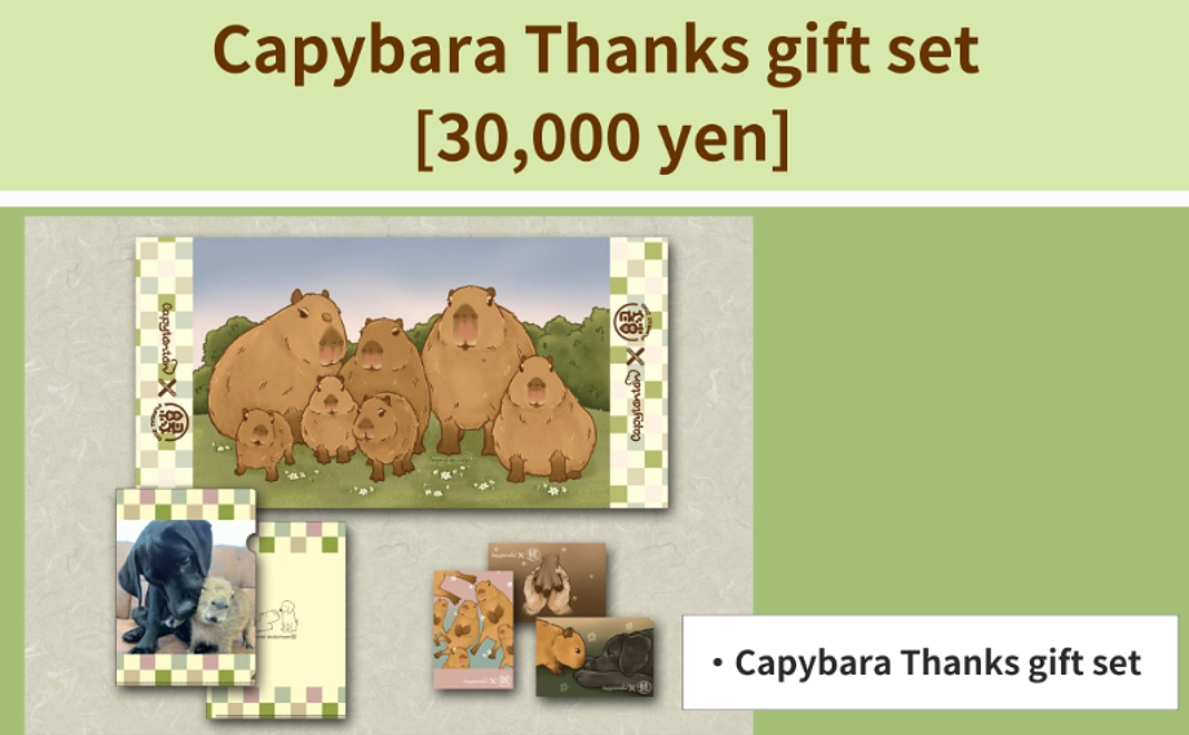 Capybara Thanks gift set [30,000 yen]