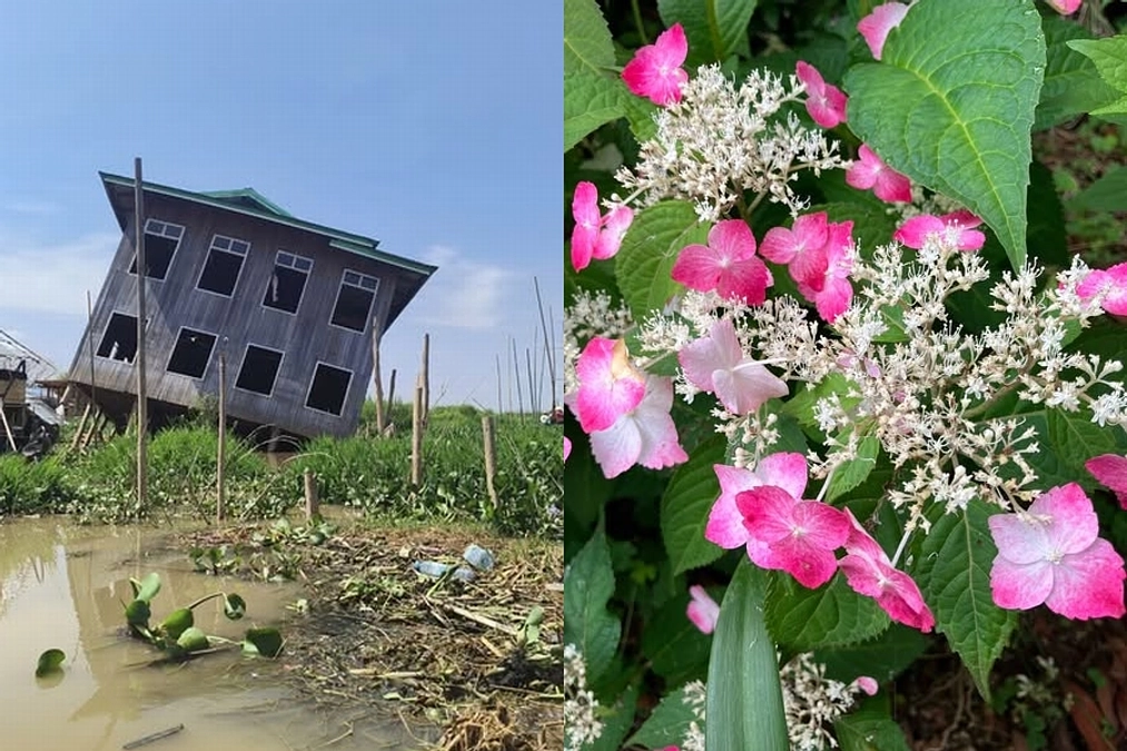 ミャンマー大地震から3カ月：感謝と共に復興を目指して